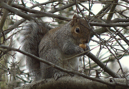 Photo by Justin Otto