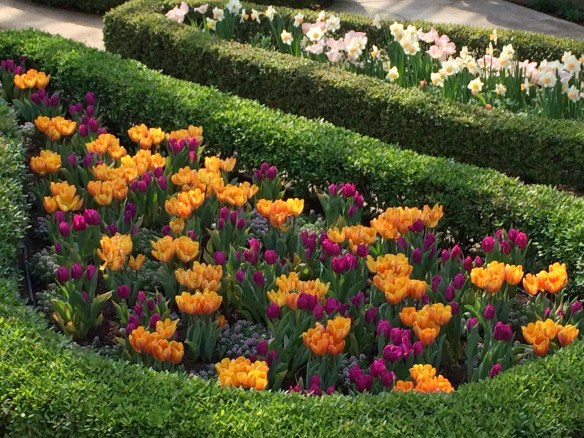 Photo by B. Oltrogge