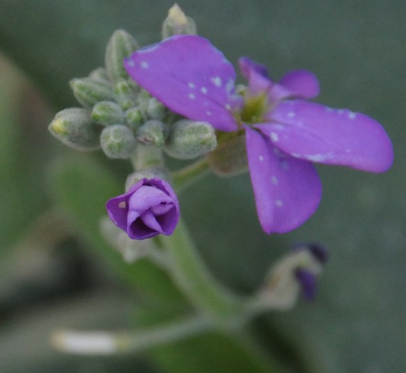 Photo by Larry Johnson