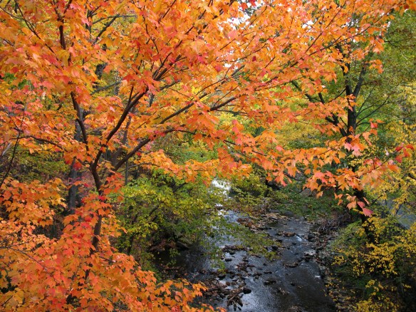 Photo by Kristine Paulus