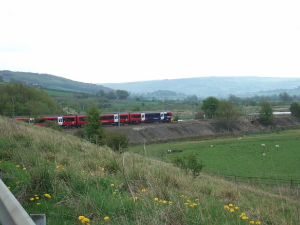 Photo by John Seb Barber