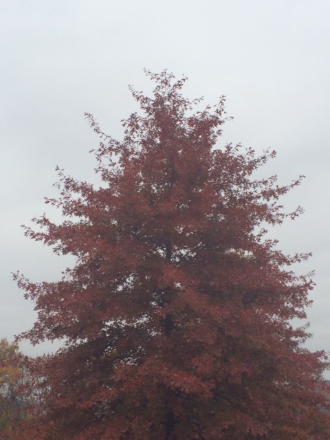 Photo by Porch of the Lord