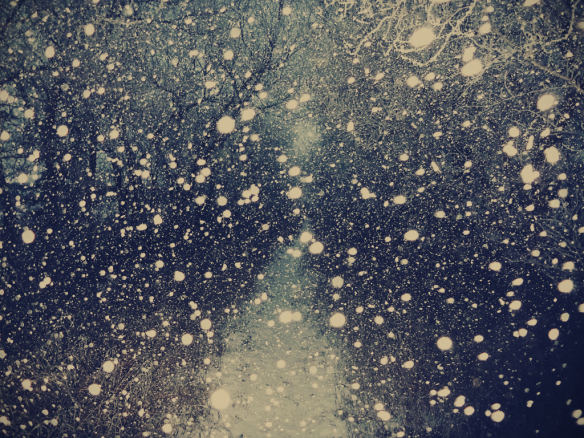 Photo by Krystian Olszanski