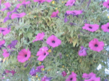 Photo by Porch of the Lord 