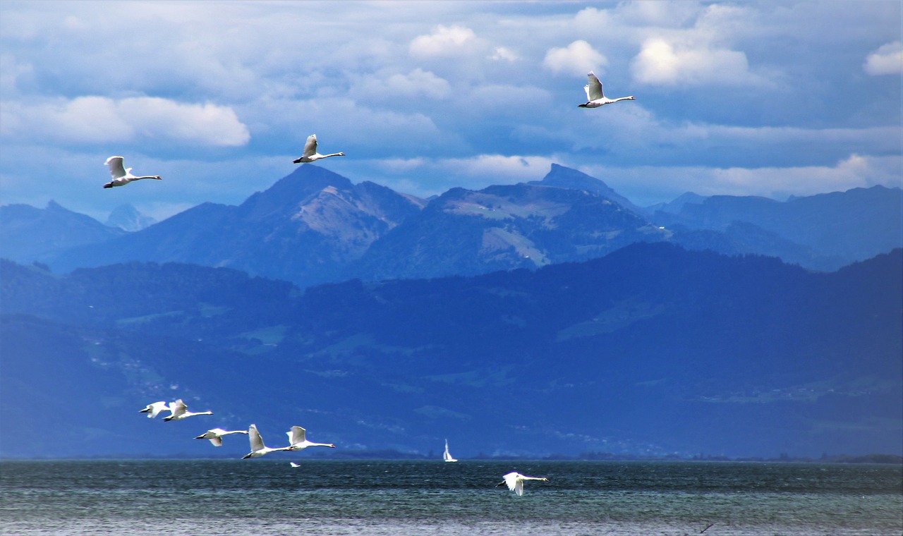 FCAD6A2C-A061-4EAA-891A-5C591C41DBE7