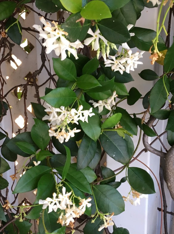 311777E3-A5D4-4EE0-B5F2-B7AB191A9E56