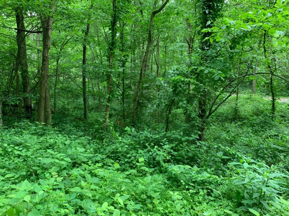 269ECAC4-A8A5-4877-926C-F710679F68F6