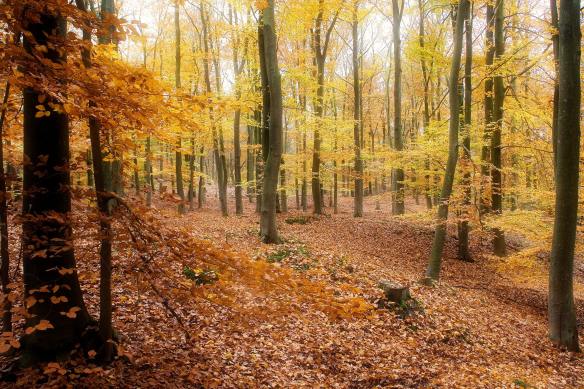 3FA9F1B4-3454-4BCD-BAD5-8815ADBDB2BC