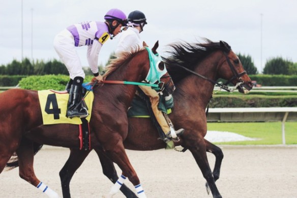 5244A1A8-B4B3-4E81-BE2C-C803470D0C96