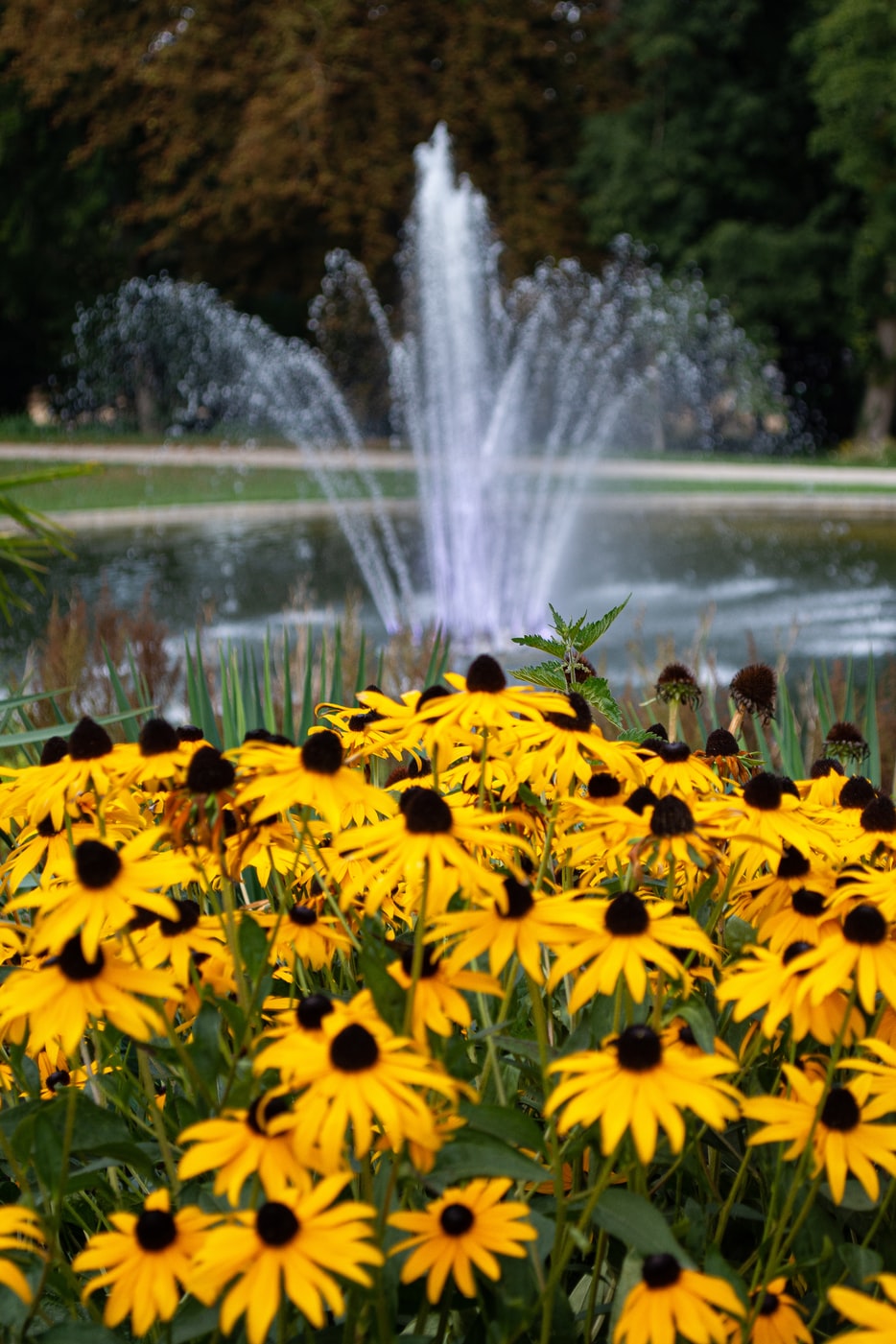 0D884B2A-9E72-4382-80D7-C4F122647495