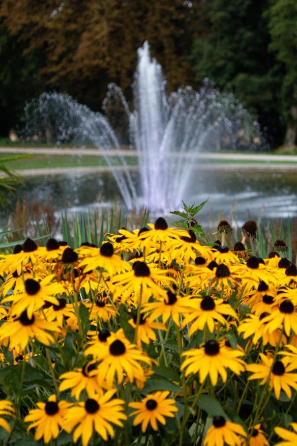 0D884B2A-9E72-4382-80D7-C4F122647495