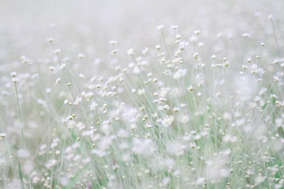 16EE7927-1714-42BC-9109-E5B2D319597E